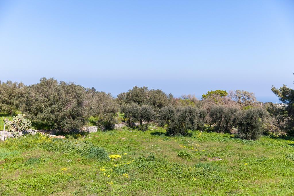 Villa Carenza Monopoli Exterior foto